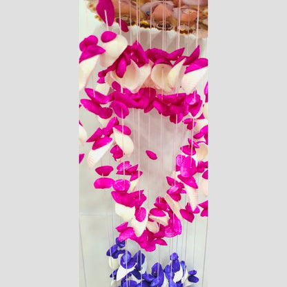Shell Wind Chain big