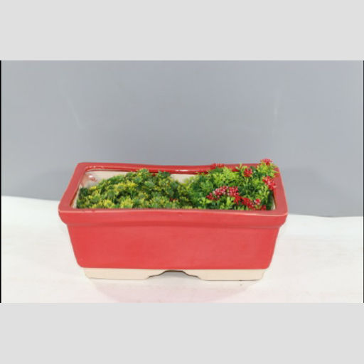 India Ceramic Decorative Planter pot for Home Decor/Living Room/Office/Table Top/Dining Area and Windowsill Decor