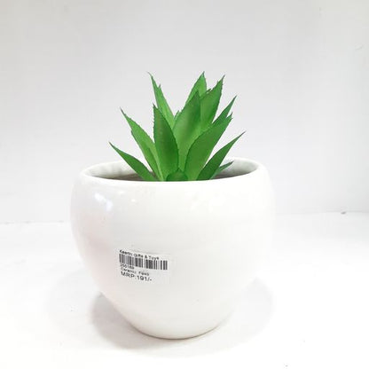 Ceramic pots