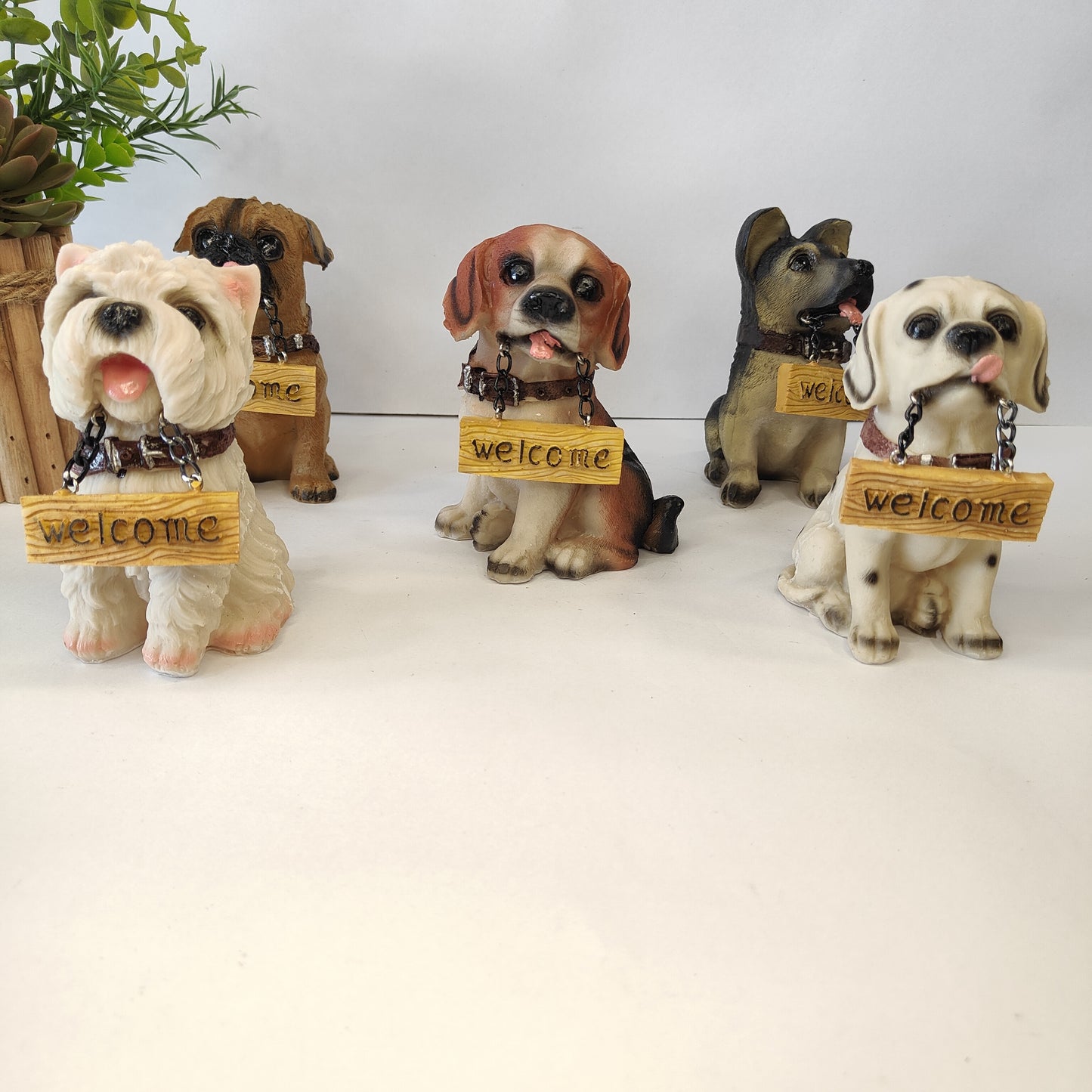 Welcome Dog
