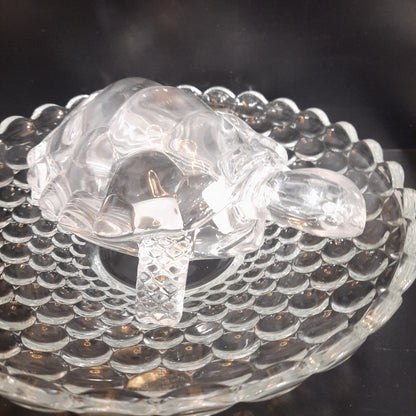 Glass Turtle