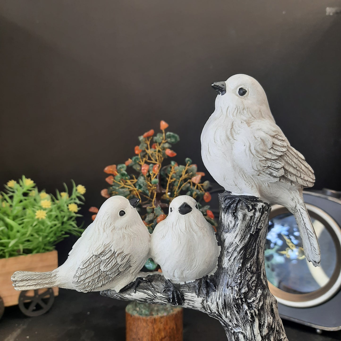 Dove birds family