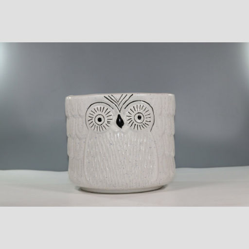 Cute Owl Planter Pot for Home Decor & Office Desk, Indoor and Outdoor, Table and for Living Room Ceramic Pot