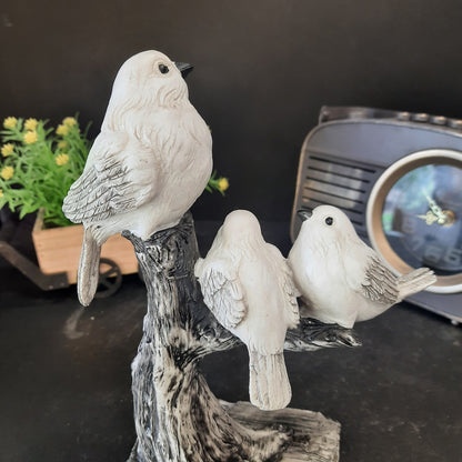 Dove birds family