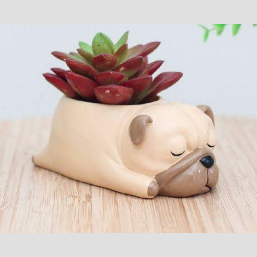 Ceramic pots