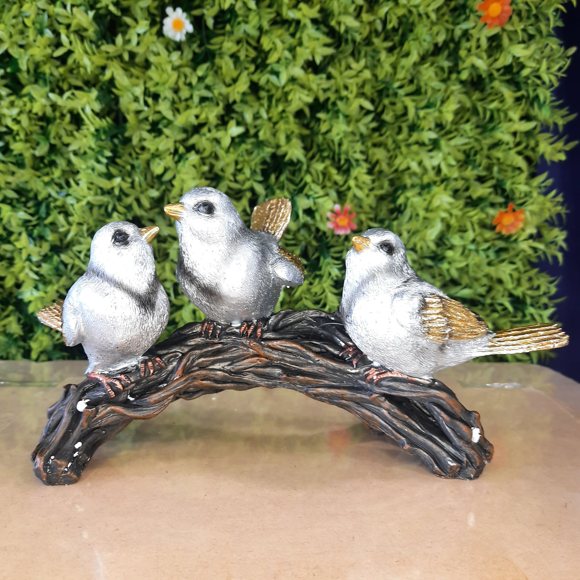 Bird family