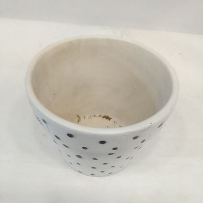 Ceramic Planter Pot Black Doted Designer Indoor Ourdoor Plants Home and Garden Decor Decorative Succulents Pot