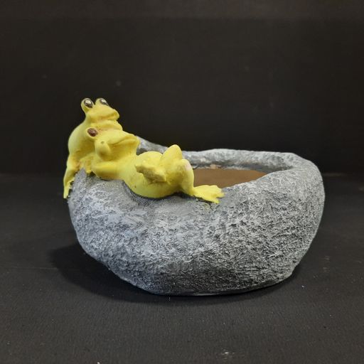 Ceramic frog Creative Resin Plants Pots Cute Cartoon Succulent Flower Pots Planter Desk Garden Room Pot