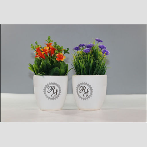 Ceramic plant pot for office desktops & home decoration purpose