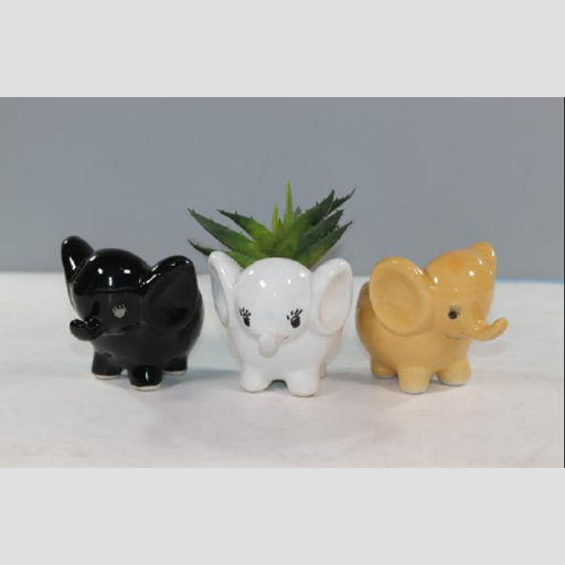 Elephant Shaped Small Ceramic plant pot for office desktops & home decoration purpose