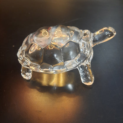 Glass Turtle