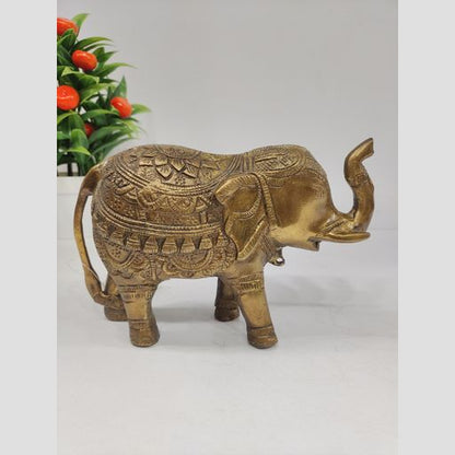 Brass elephat 5 inch