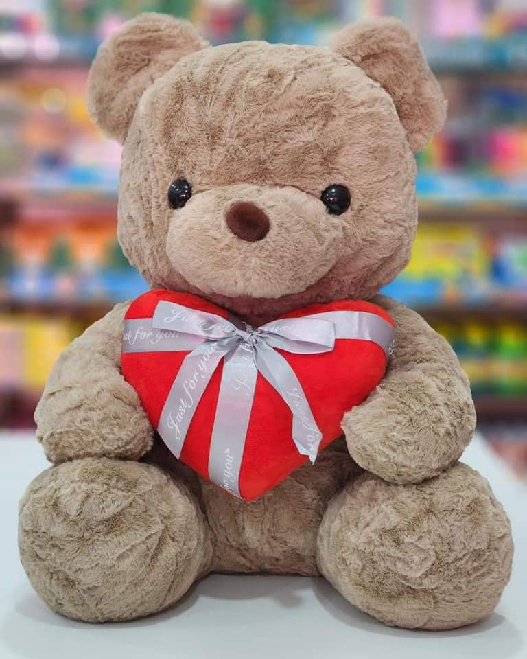 NXS895 50BR BEAR