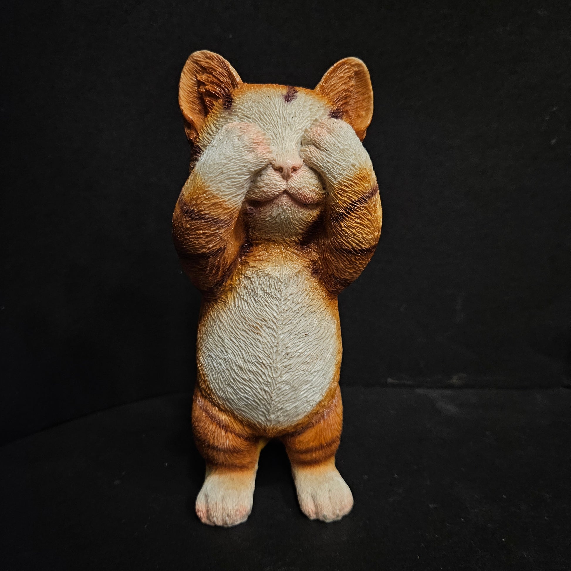 Cat K53