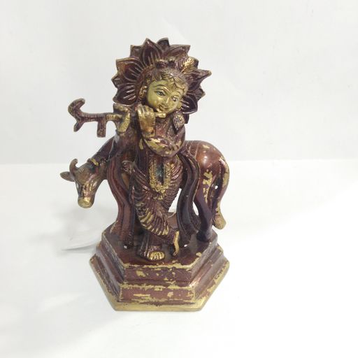 Cow krishana