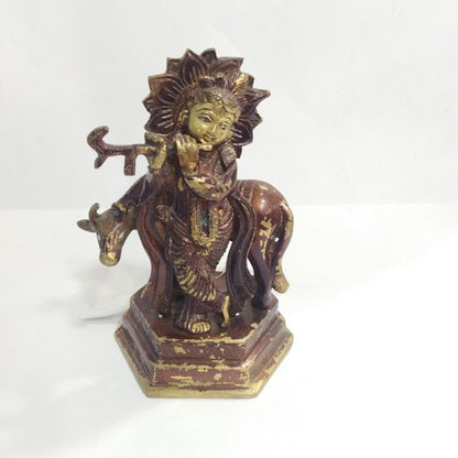 Cow krishana