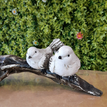 Birds family