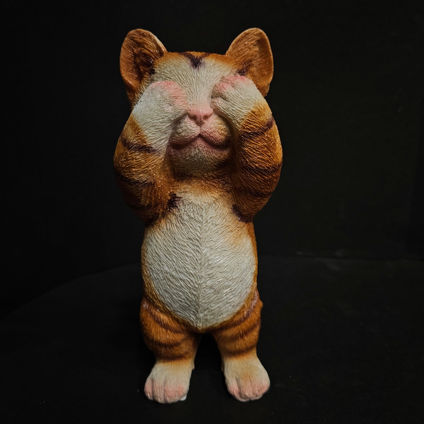 Cat K54