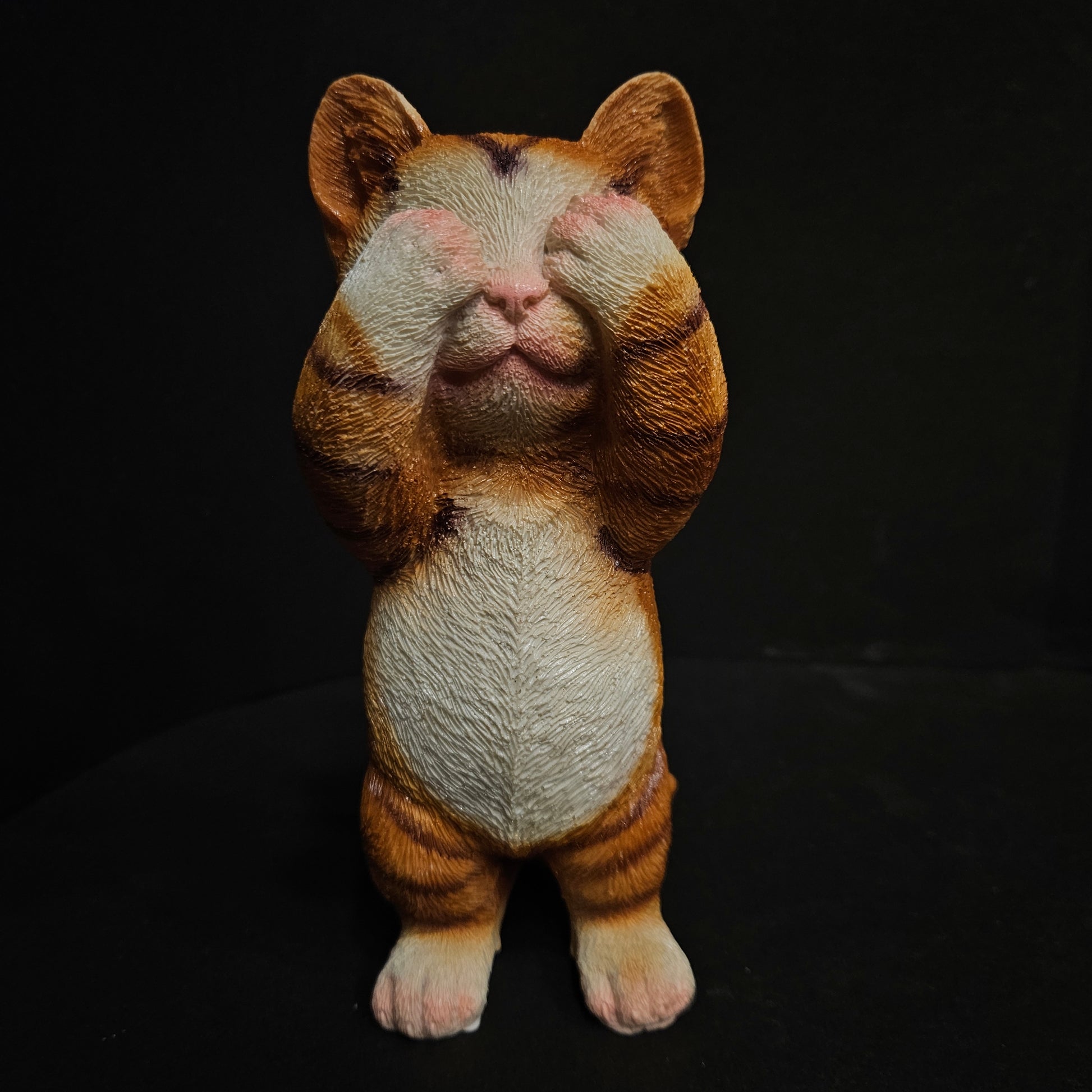 Cat K54