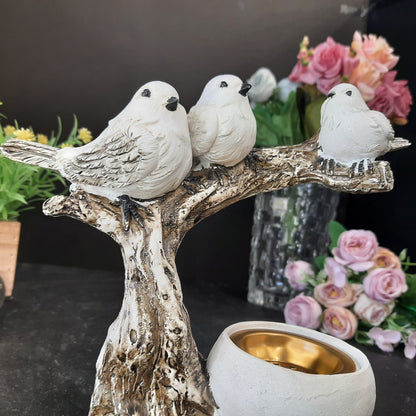 Birds dhoop stand