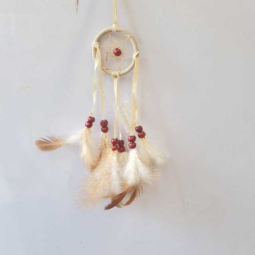 white dreame catcher