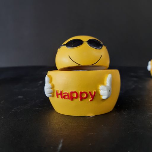 Smile bubble head showpiece a single piece with one moji