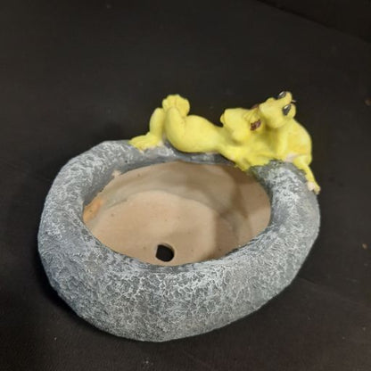 Ceramic frog Creative Resin Plants Pots Cute Cartoon Succulent Flower Pots Planter Desk Garden Room Pot
