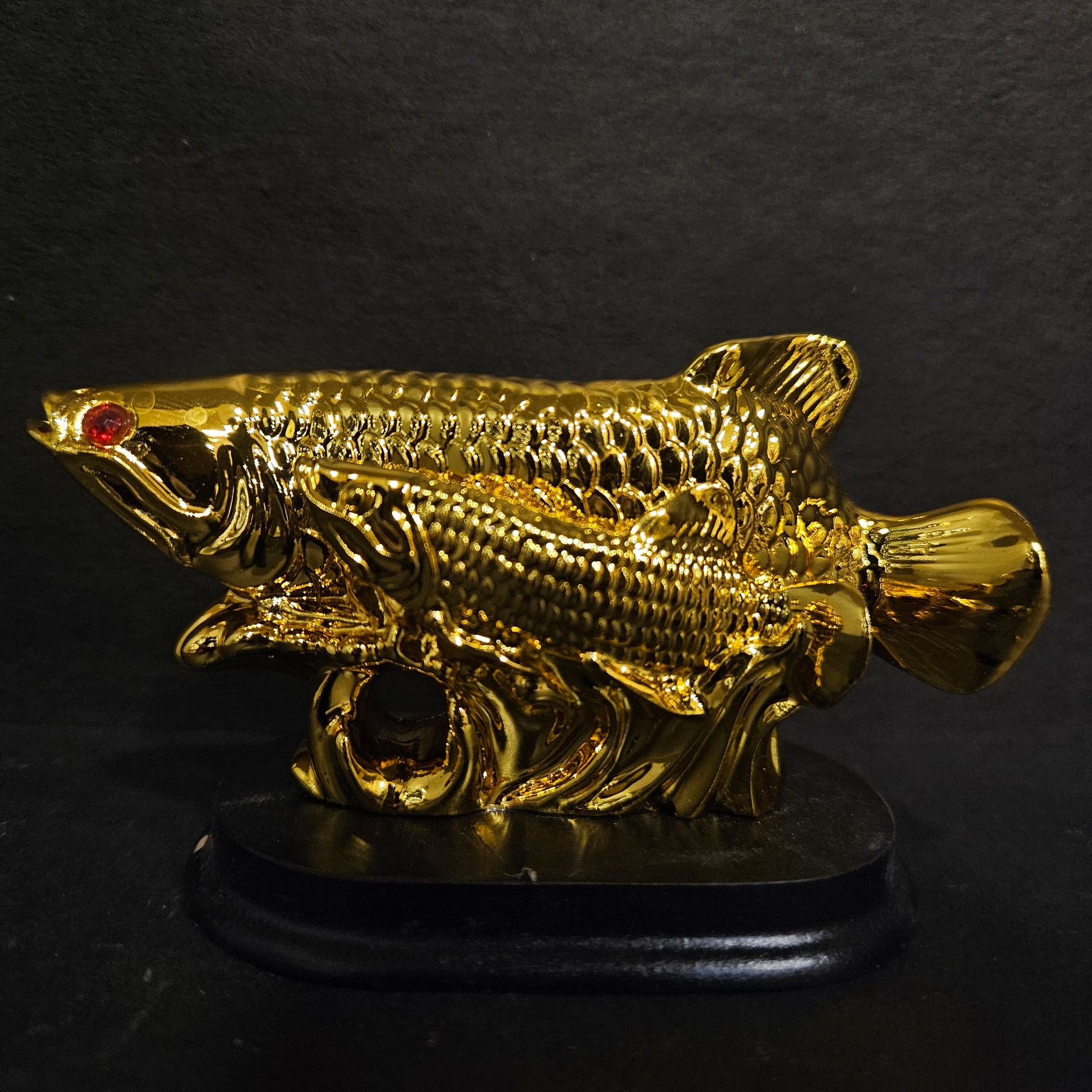 Exclusive Golden Fengshui Arowana Fish with Coins Showpiece for Office Decor and Home Decoration