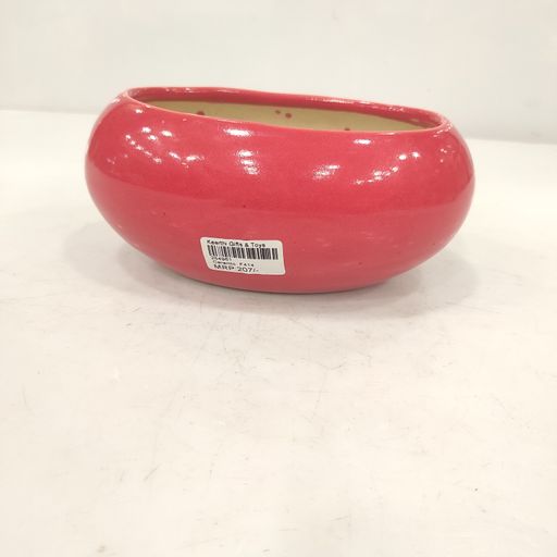 Red colour Ceramic Flower pot with drain hole perfect for office desktop & home decoration