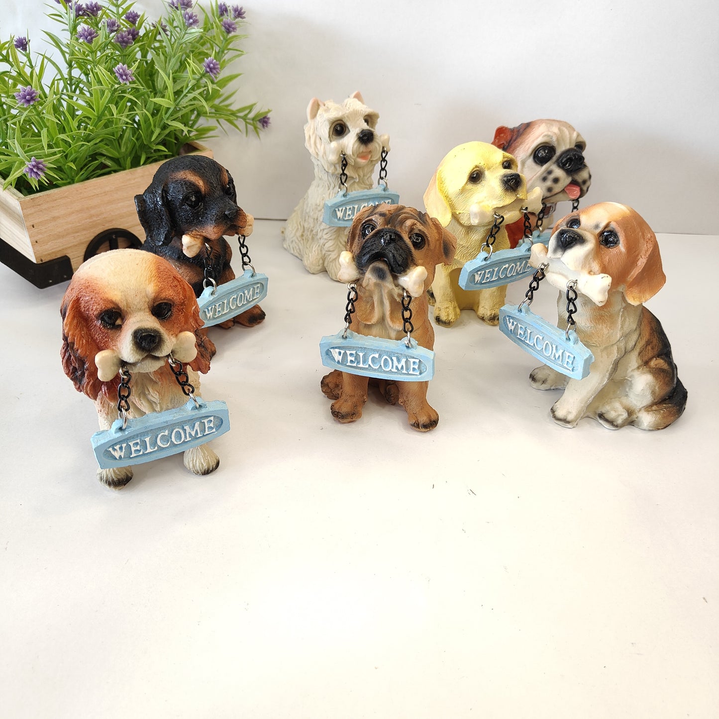 Welcome Dogs
