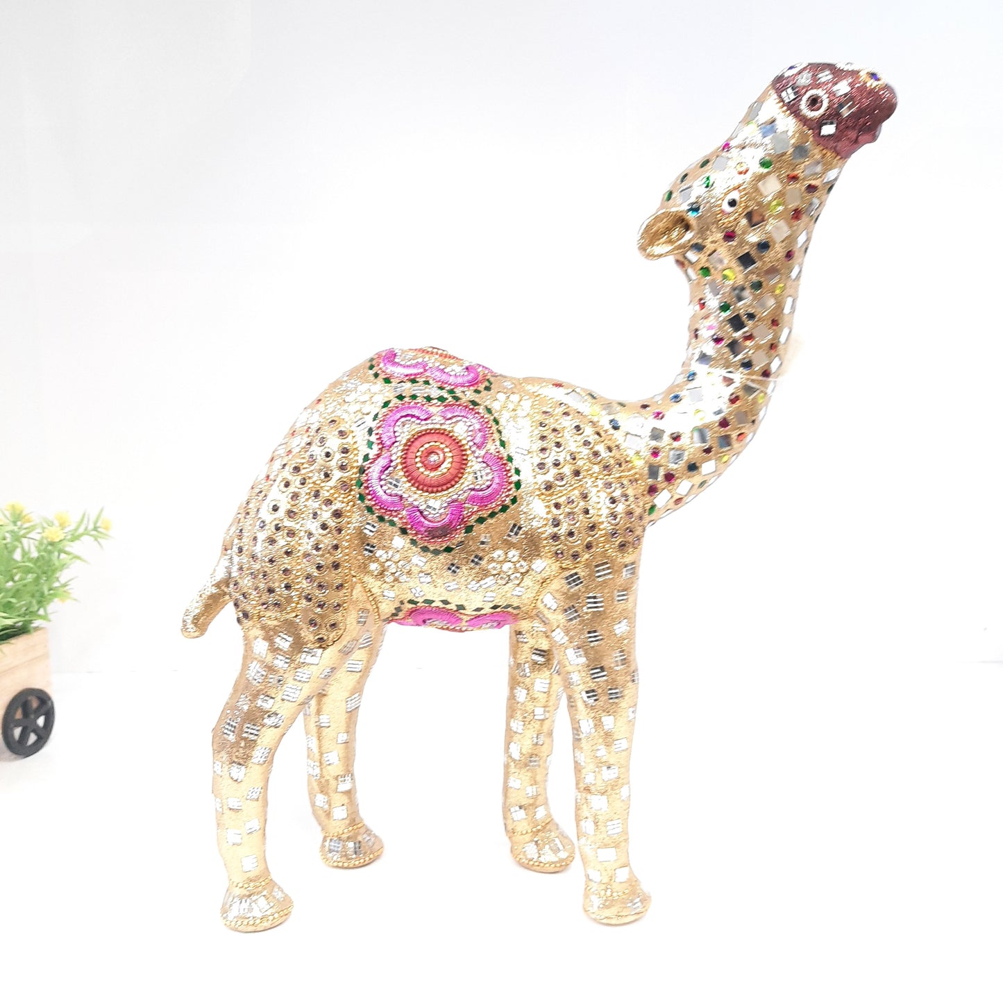 Thandi Lac Camel