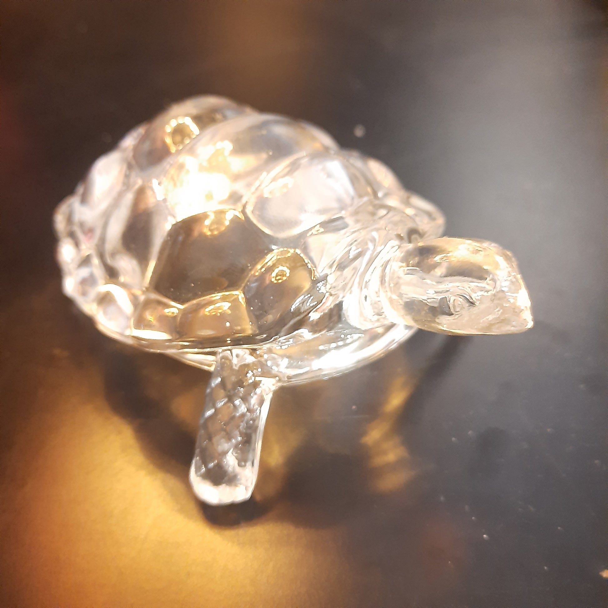 Glass Turtle