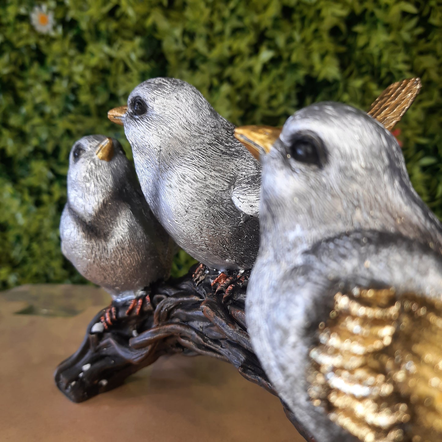 Bird family
