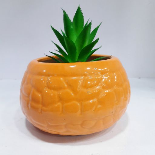 Ceramic pots