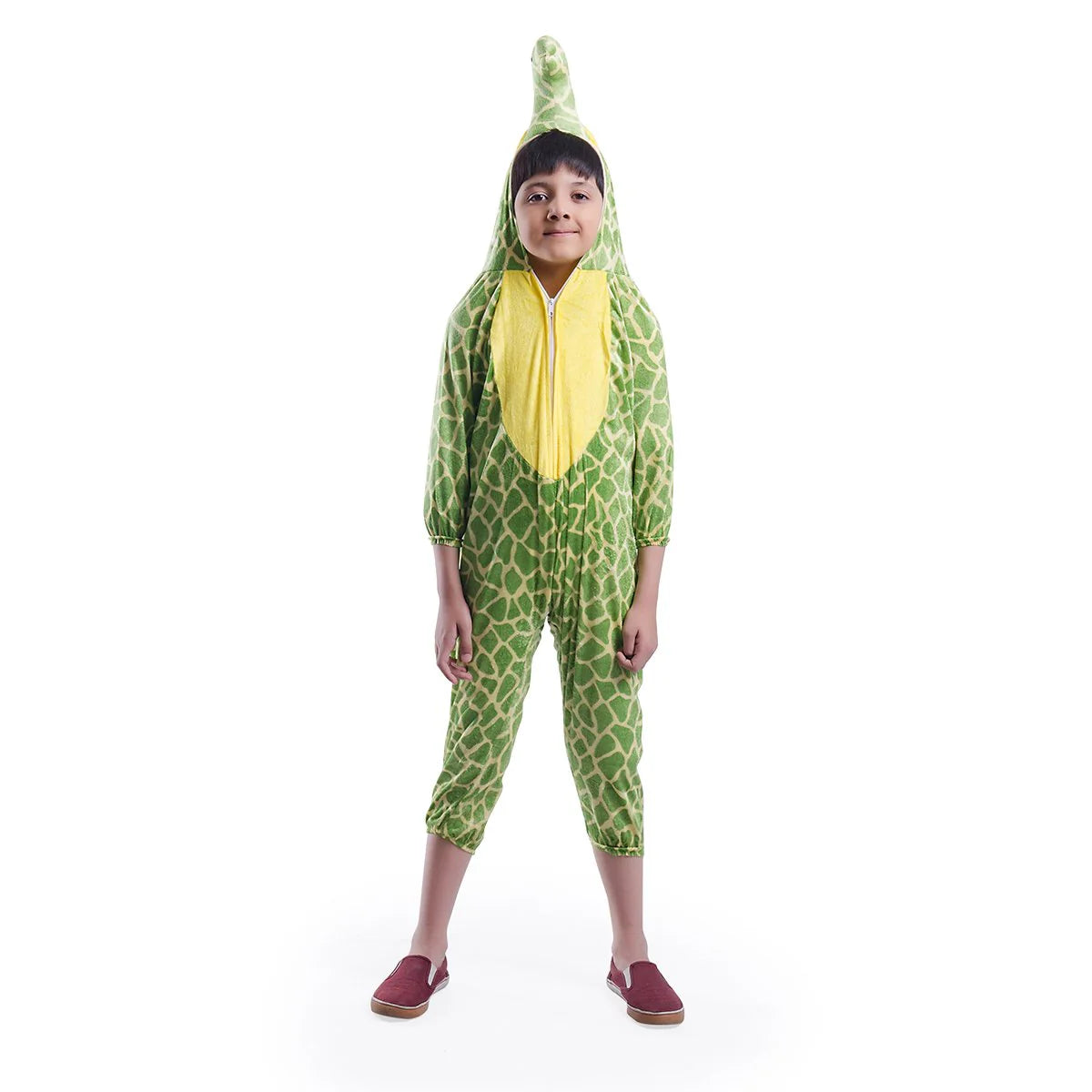Tortoise Costume For kids fancy dress