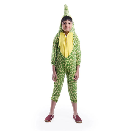 Tortoise Costume For kids fancy dress
