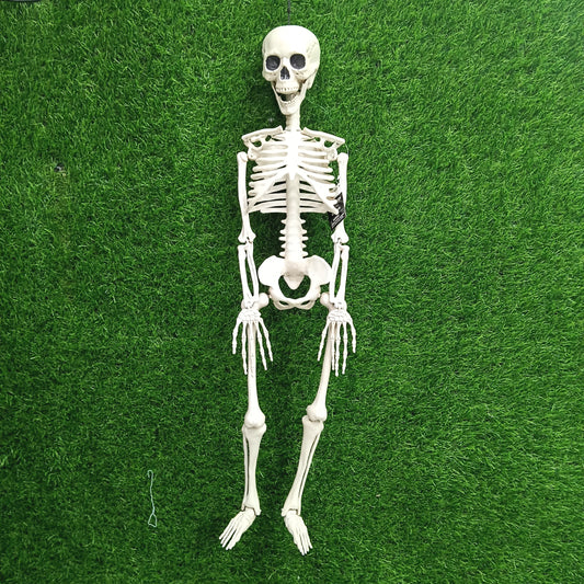 35 inch faux Skeleton helloween decor