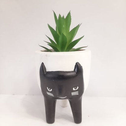 Kitten Cat Planter, Decorative Ceramic Flower Pot with Handle, Black and White, for Indoor and Outdoor
