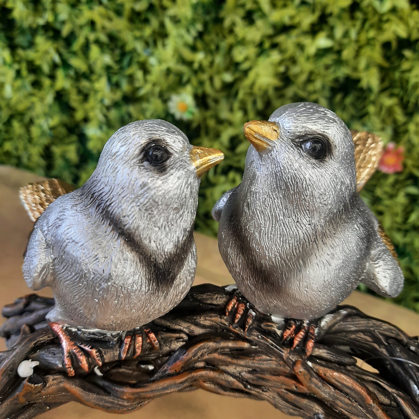 Bird family