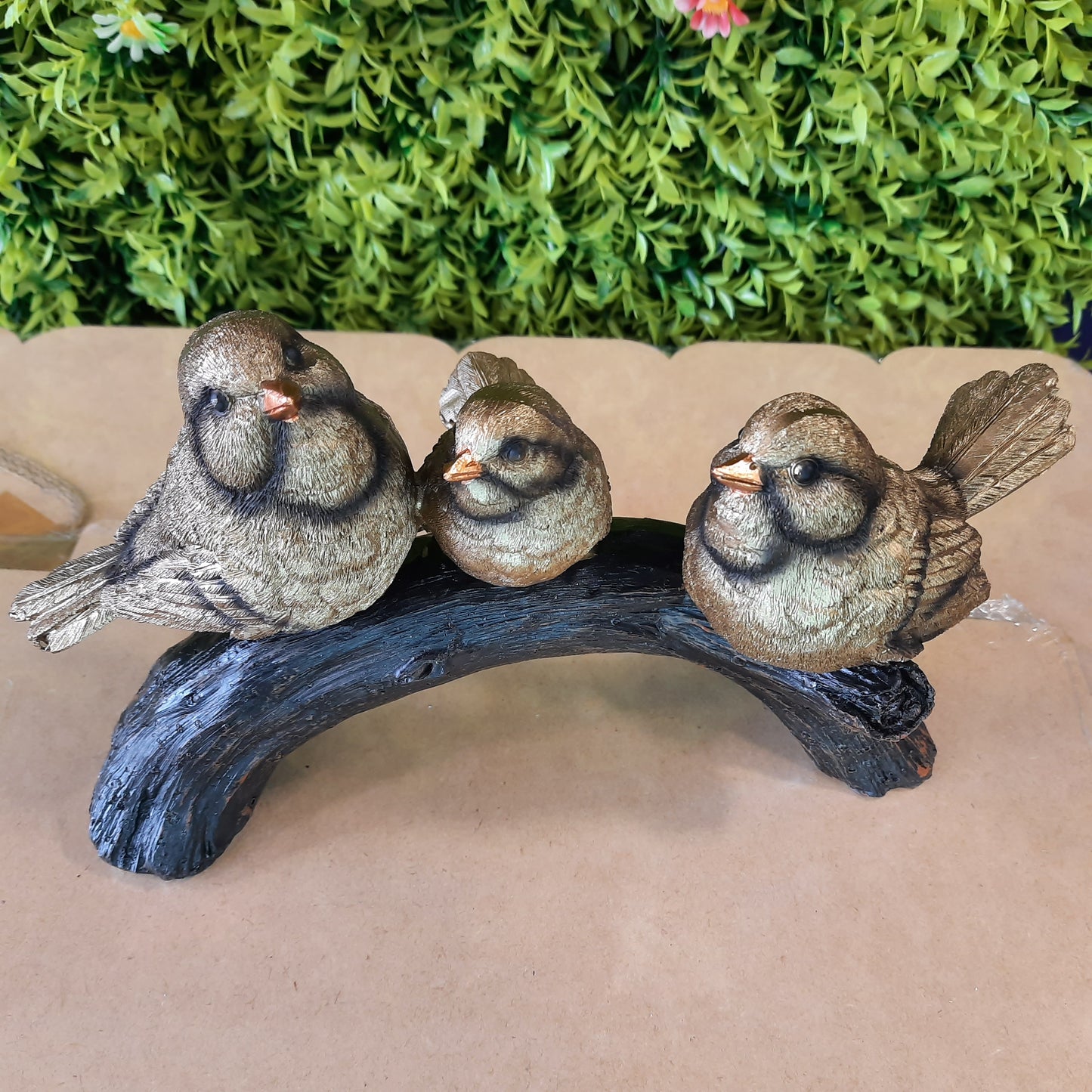Birds family