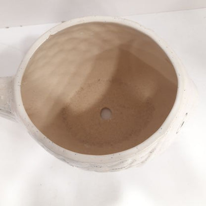 fish shaped & face printed ceramic pot for Garden,office&desktop Decoration purpose