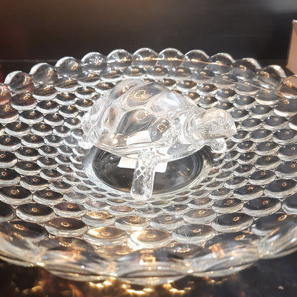 Glass Turtle