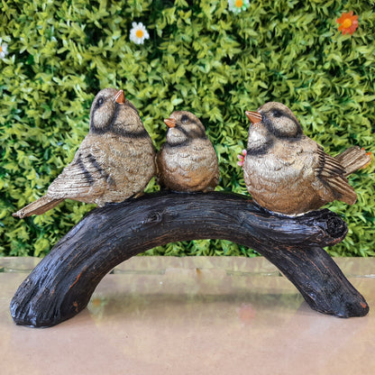 Birds family