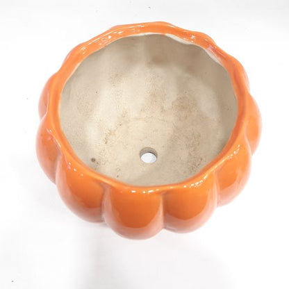Ceramic pots