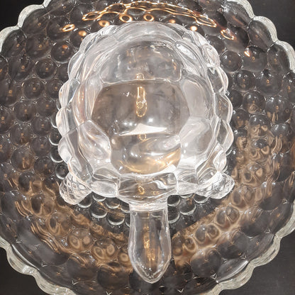 Glass Turtle