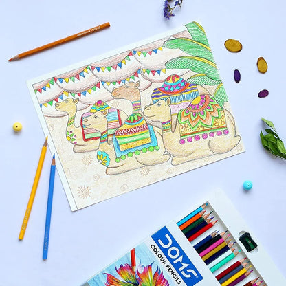 Doms colour pencils 24 Shades