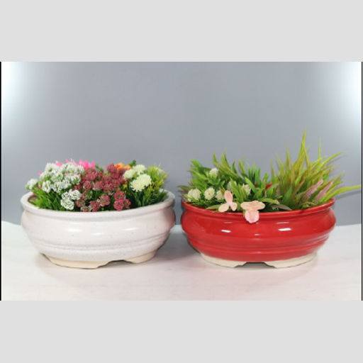 India Ceramic Bowl Leg Planter Decorative Planter for Home Decor/Living Room/Office/Table Top/Dining Area and Windowsill Decor