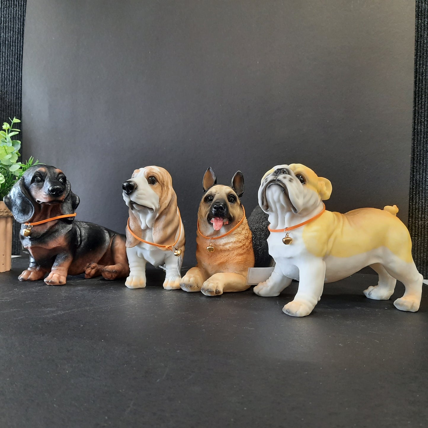 Cute puppy show piece