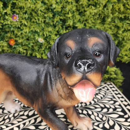 Realistic dog showpiece