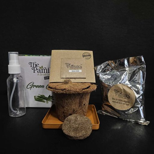 Organic tomato plant growing kit for balcony gardening purpose